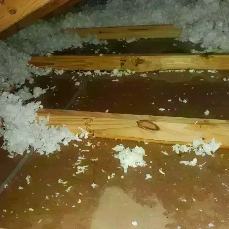 Attic Water Damage in Anoka, MN