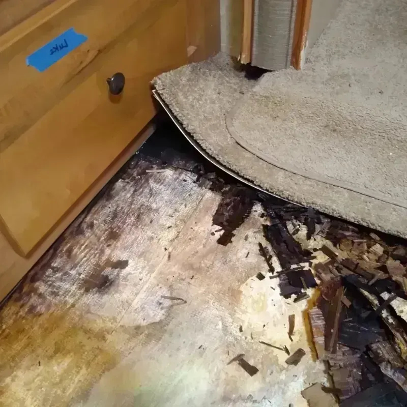 Best Wood Floor Water Damage Service in Anoka, MN